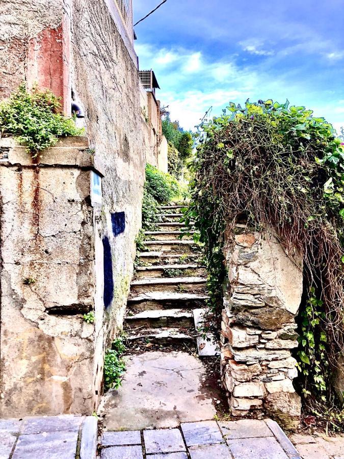 Villa Campana - Bastia Centre Buitenkant foto